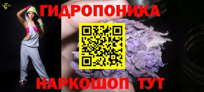 твердый Партизанск