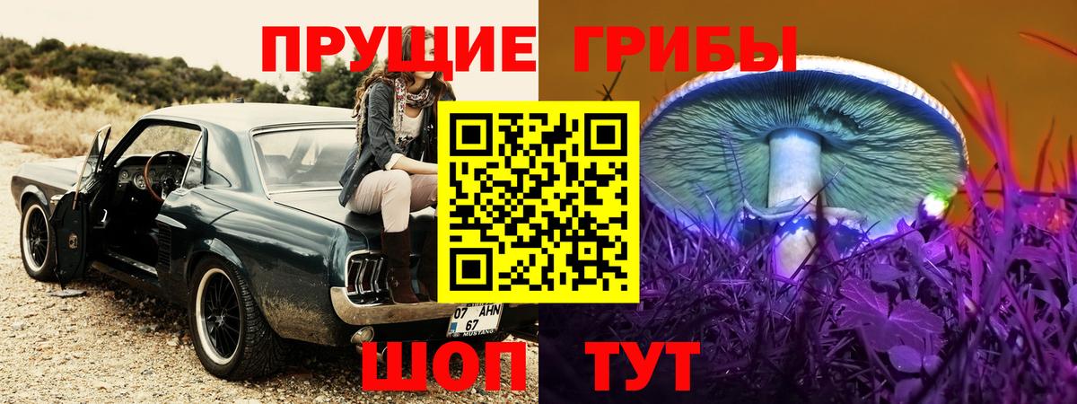 Псилоцибиновые грибы прущие грибы Сибай